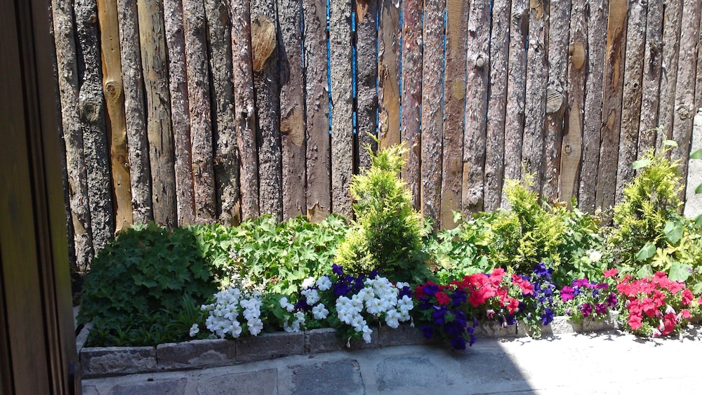 Photo 16