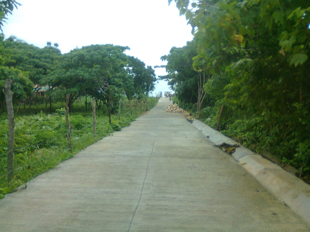 Photo 40