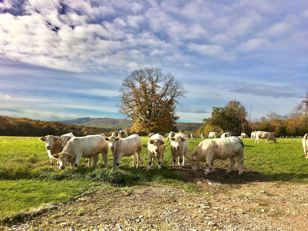 Domaine Joseph Lafarge