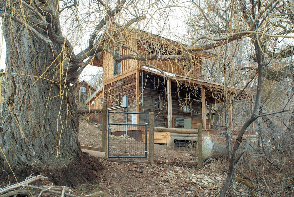Historic Nature Lovers Cabin on Farm in Paonia!