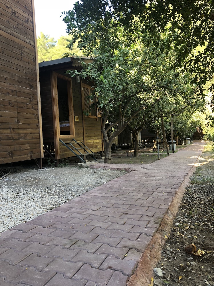 Photo 48