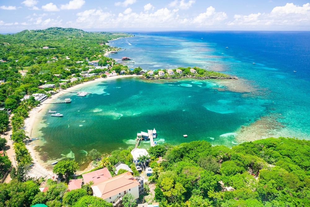 Coral Vista 2