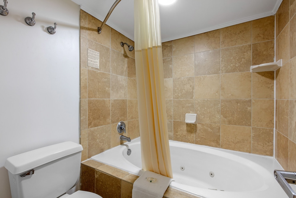 Puerto Vallarta Altavela Egina 62 - Property Image 3