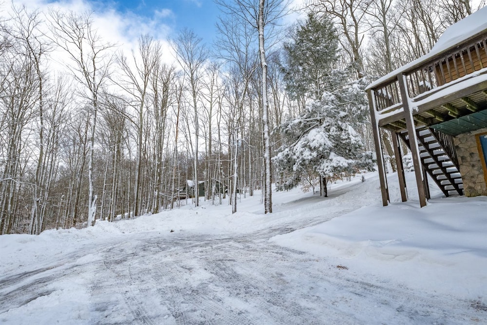 Bearfoot Lodge view 3