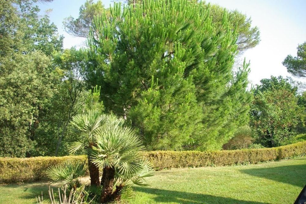 Domaine les Cigales