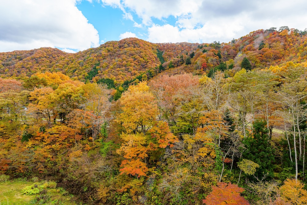 KAMENOI HOTEL NIKKO YUNISHIGAWA ALL-INCLUSIVE RESORT