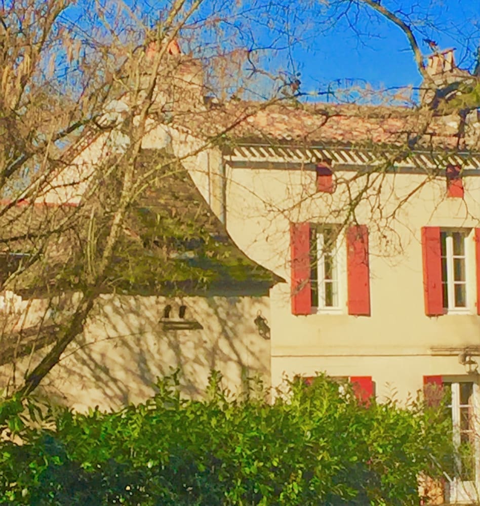 Photo 8