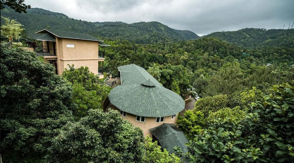 The Violet Thekkady