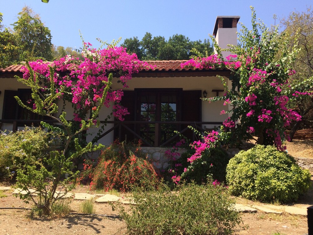 Selimiye Houses