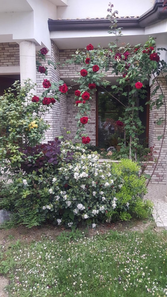 Bed and Breakfast Villa Gioia, photo 48