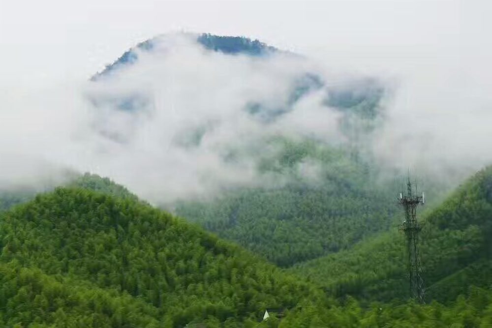 Moganshan Wild House