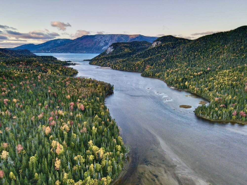 Bonne Bay Cottages