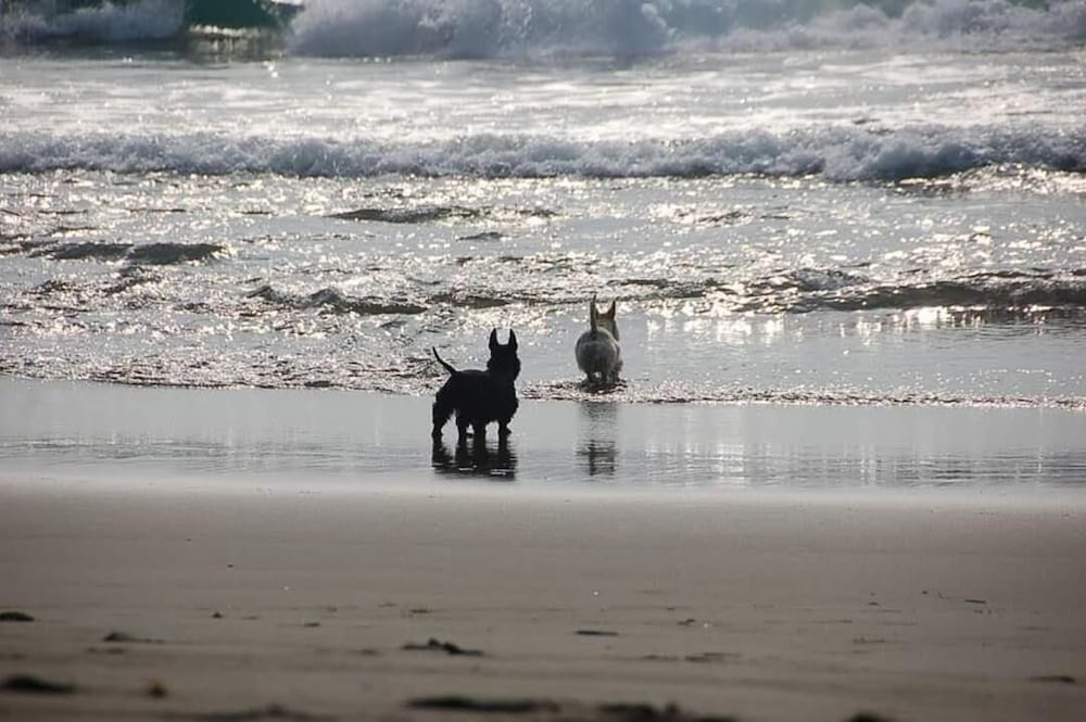 Photo 10