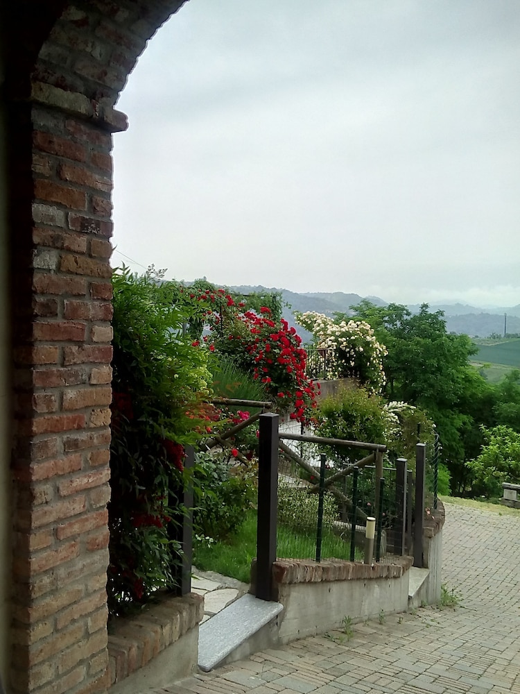 Photo 29
