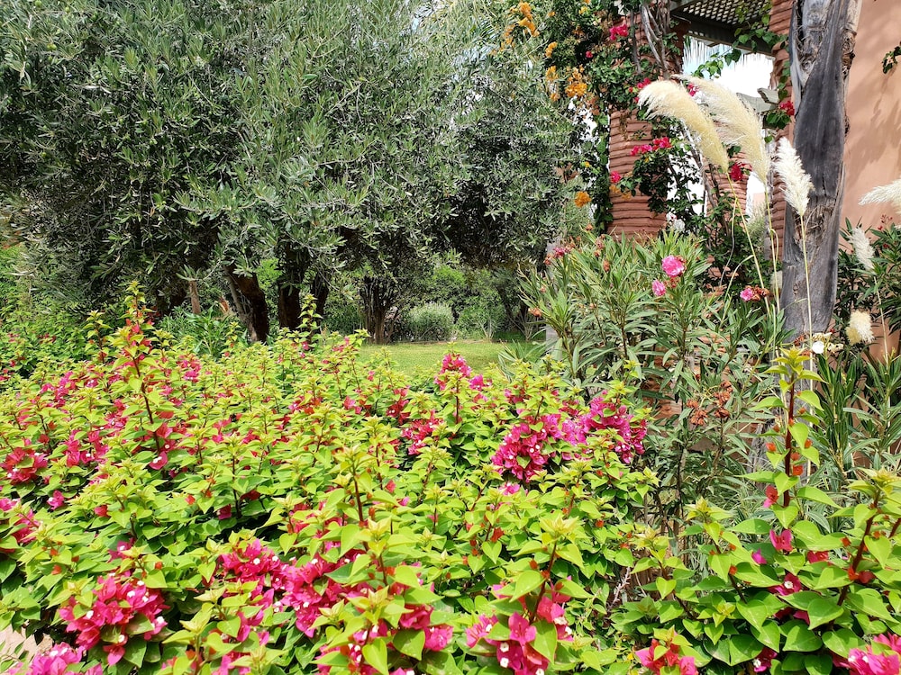 RIAD GARDEN LUXURY APARTS by Sabor Voyage view 2