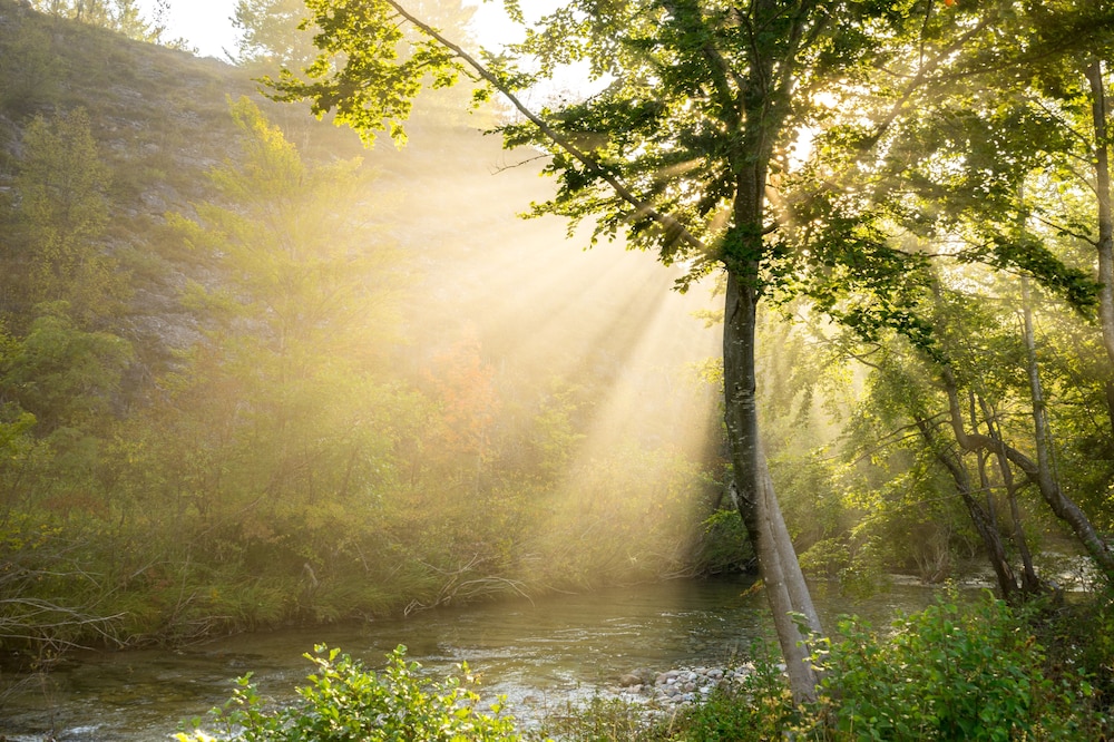 Linden Tree Retreat & Ranch