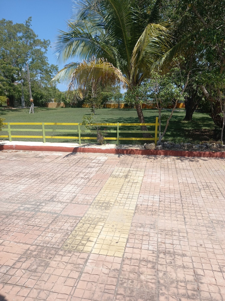 Photo 43