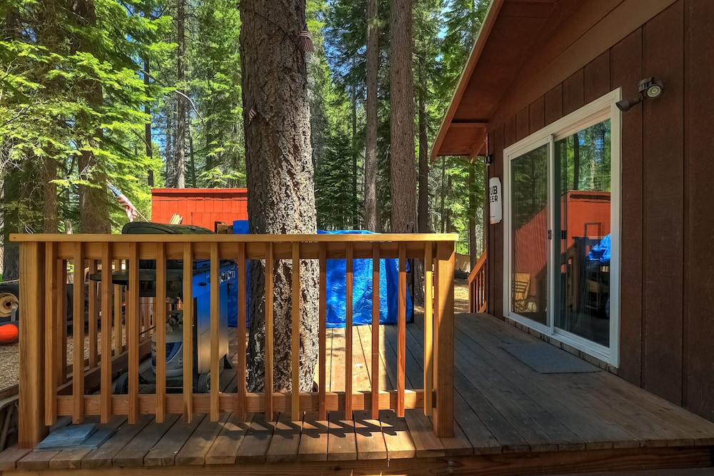 Coziness Cabin - Cute Little Cabin in the Tahoe Woods! view 5