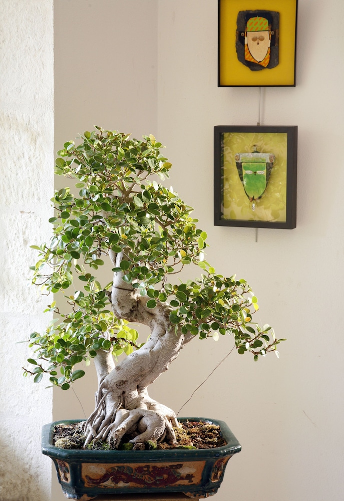 Photo 25