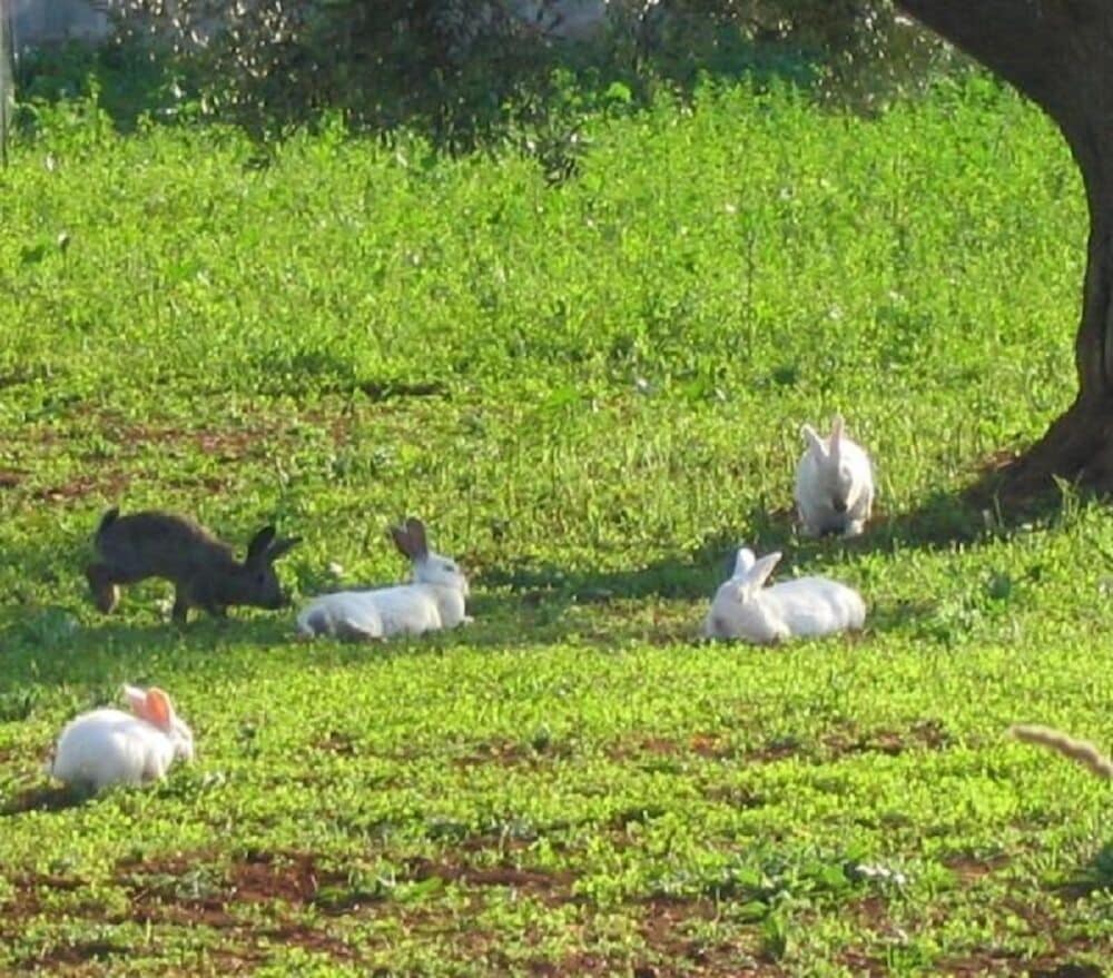 Photo 47