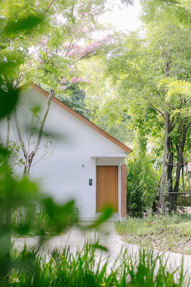 Baan phandao