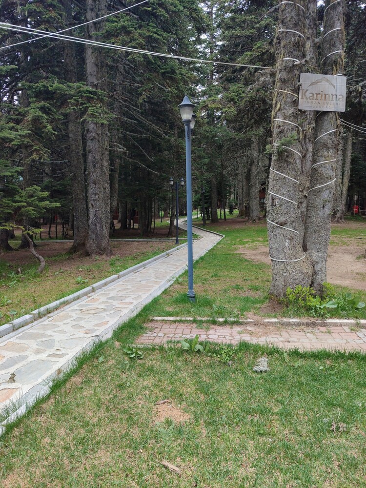 Karinna Forest Houses