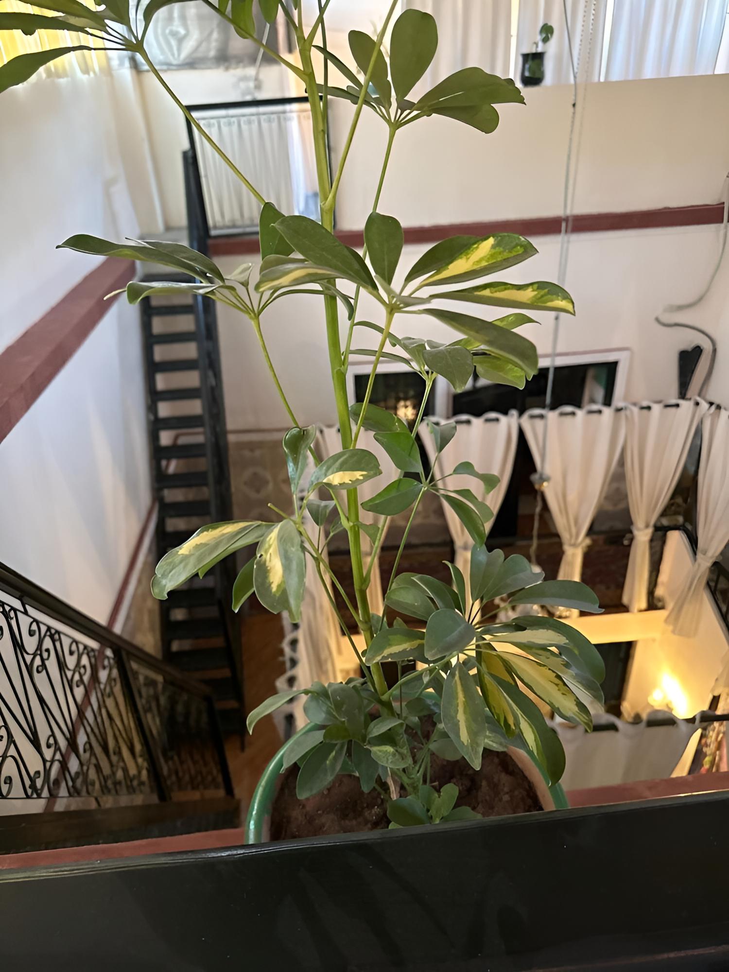 Photo 26