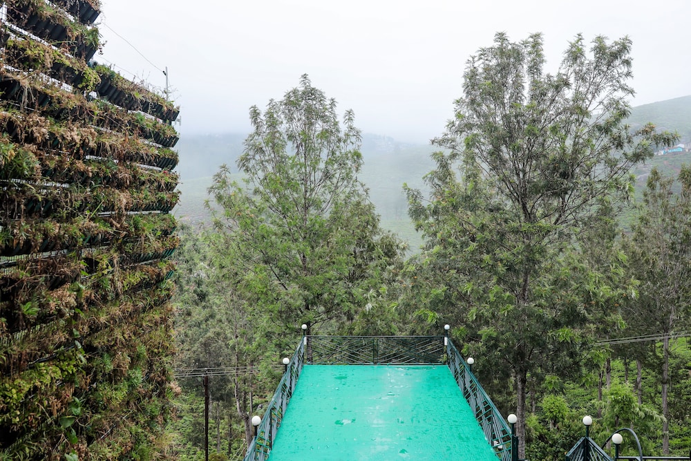 Memories at The Blue Mountains