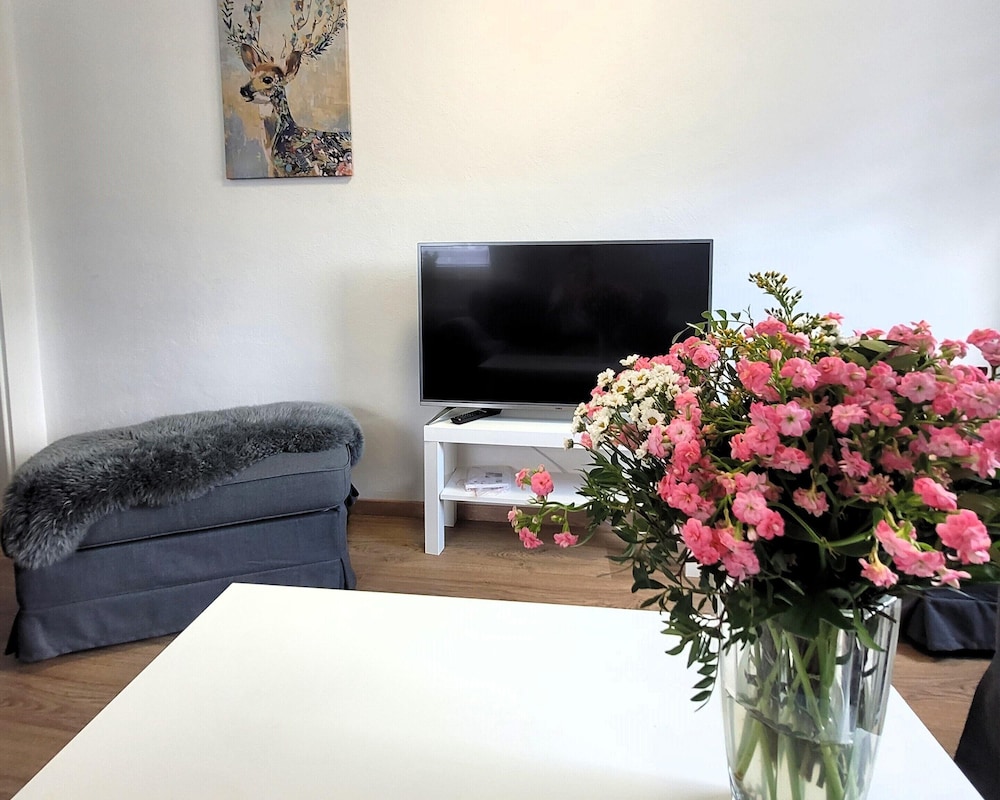 Apartment in Winterberg Near Ski Lift