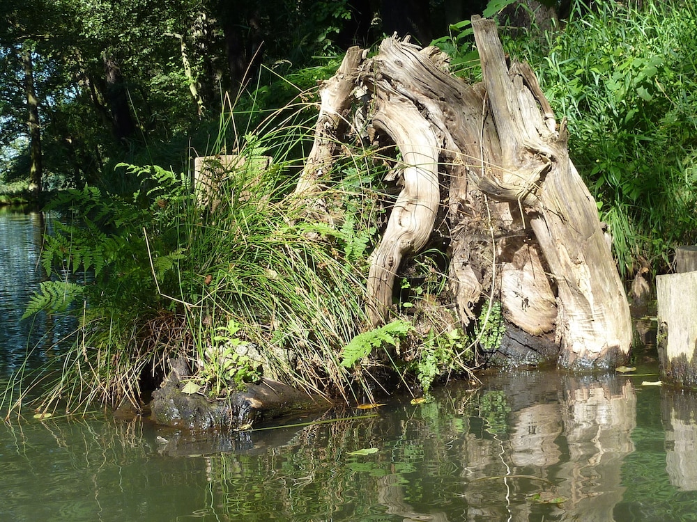 Spreewald Pension Spreeaue, Billede 50