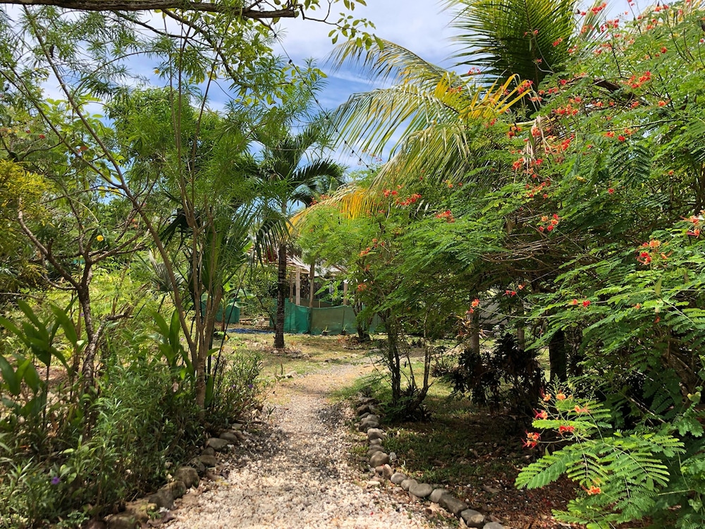 Don Jons Lodge -Surf & Yoga
