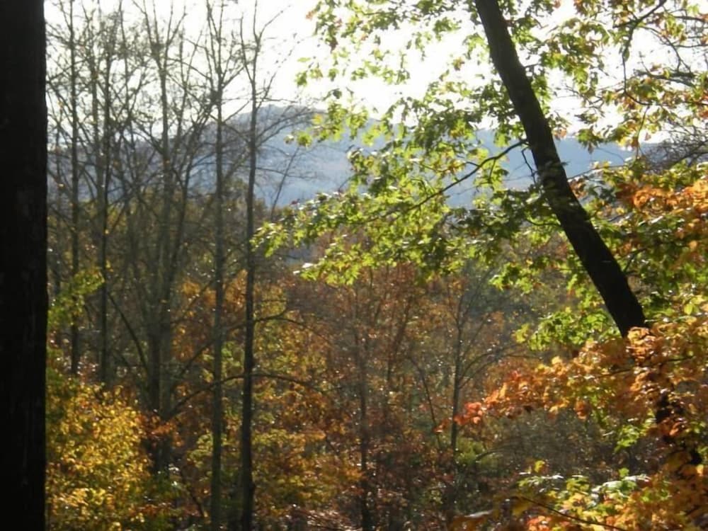 Turkey Feather Nevaeh Cabin Rentals