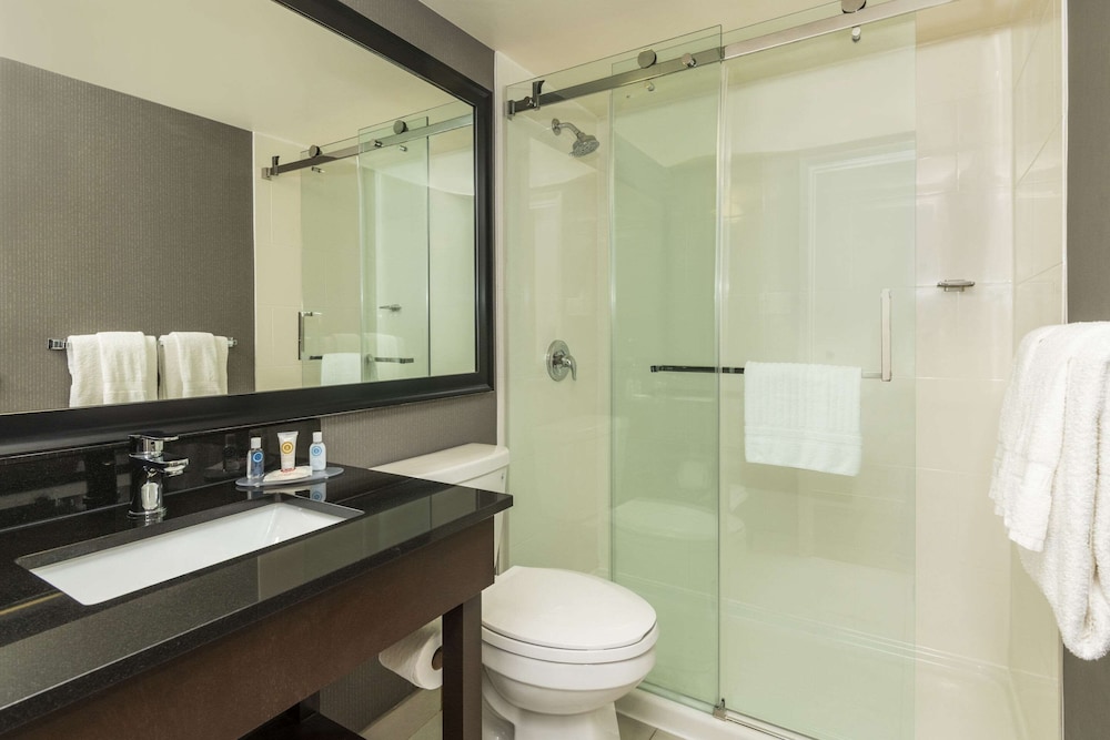 Fredericton Vacations - Comfort Inn - Property Image 37