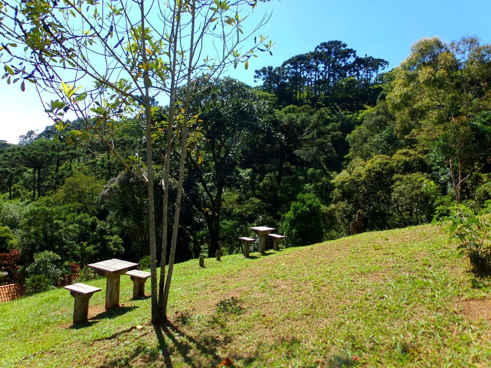 Photo 38