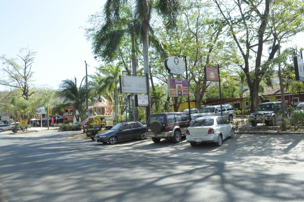 Tropical Gardens