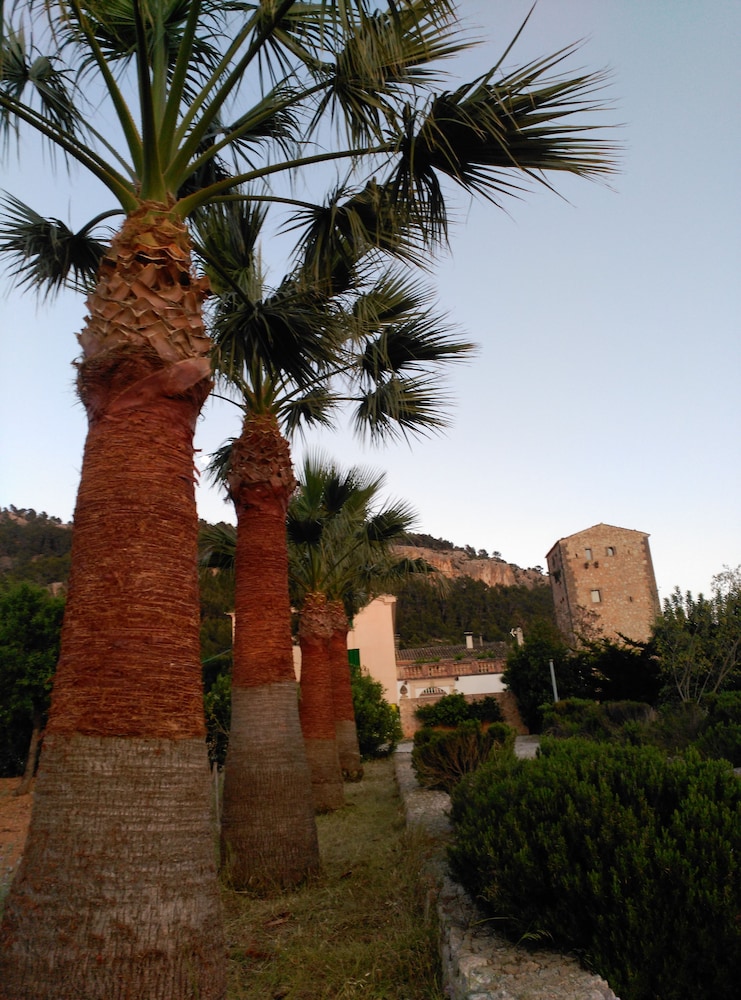 Photo 21