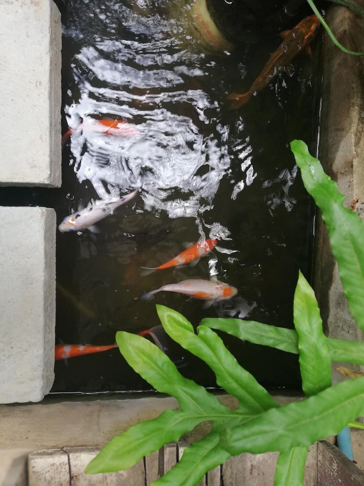 AO Apartment
