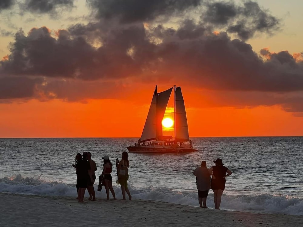 Eagle Stays Aruba