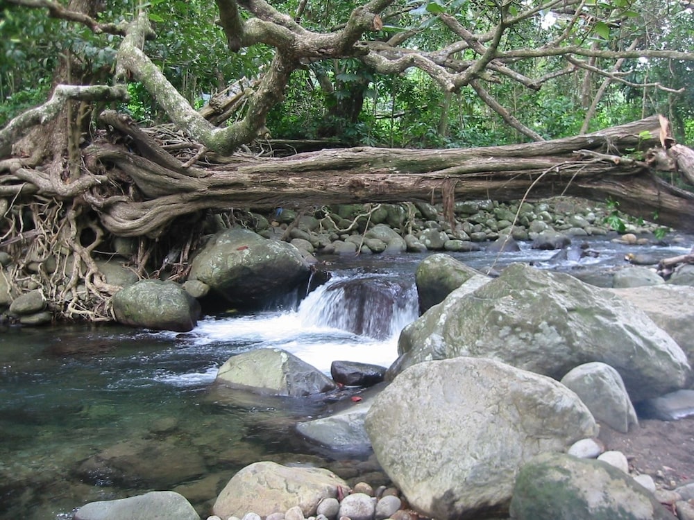 Citrus Creek Plantation - Photo 41