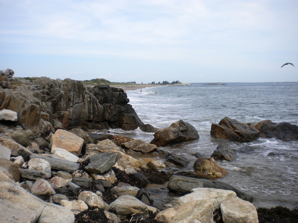 Photo 44