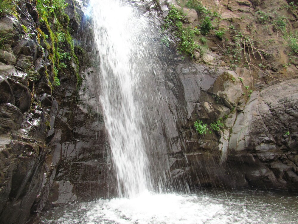 Refugio Ecologico