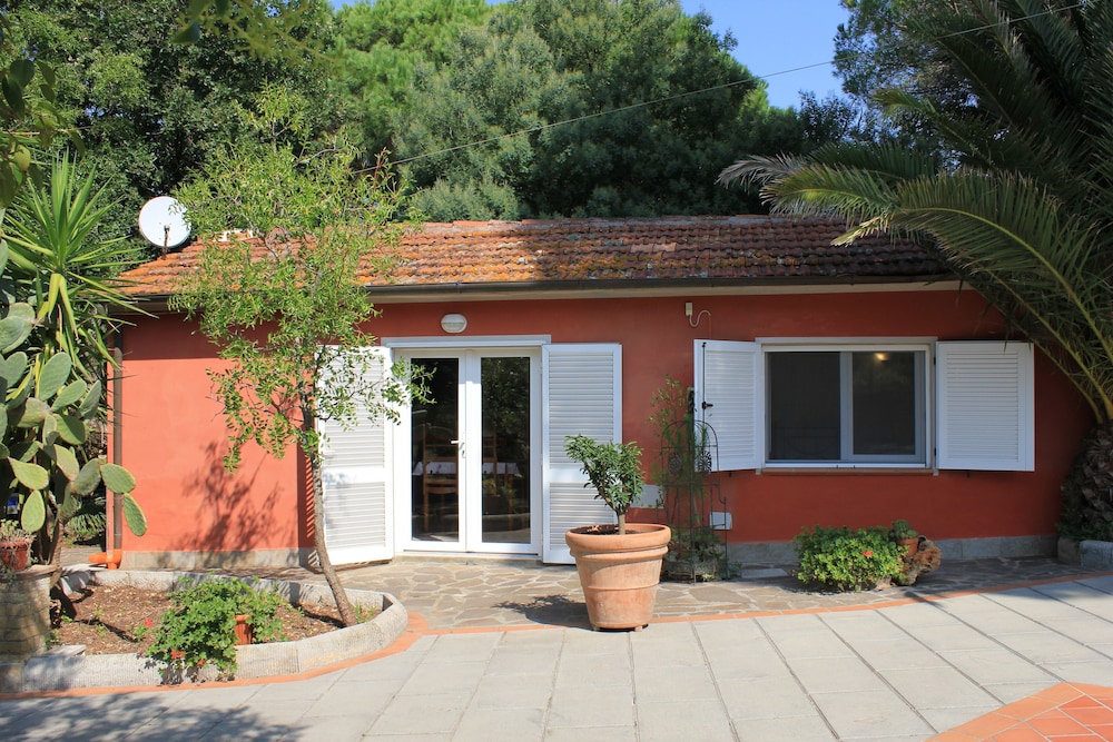 Photo 20