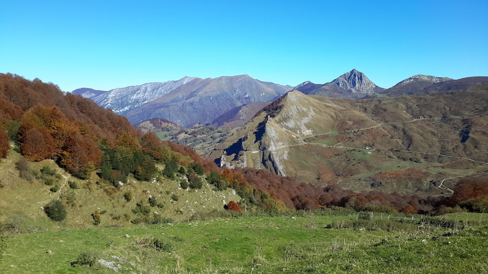 Les Hauts de Hurlevents - Le Buffalo photo 3