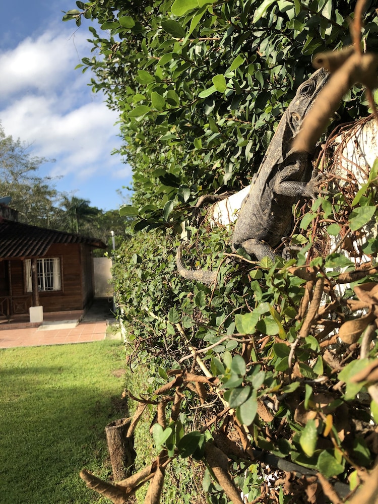 Estancia Ecologica LOS FUNDADORES, photo 38