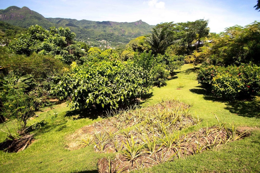 Lemongrass Lodge