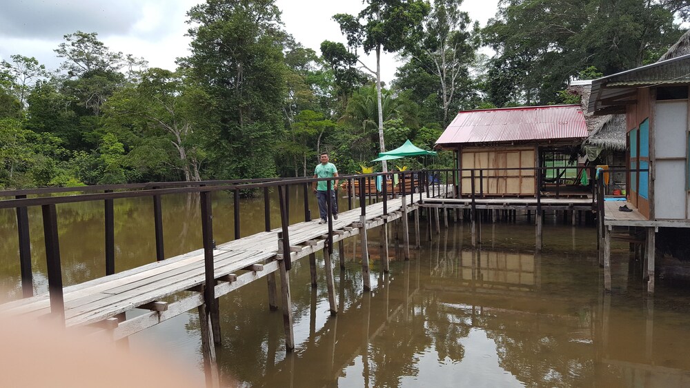 My Amazon Lodge