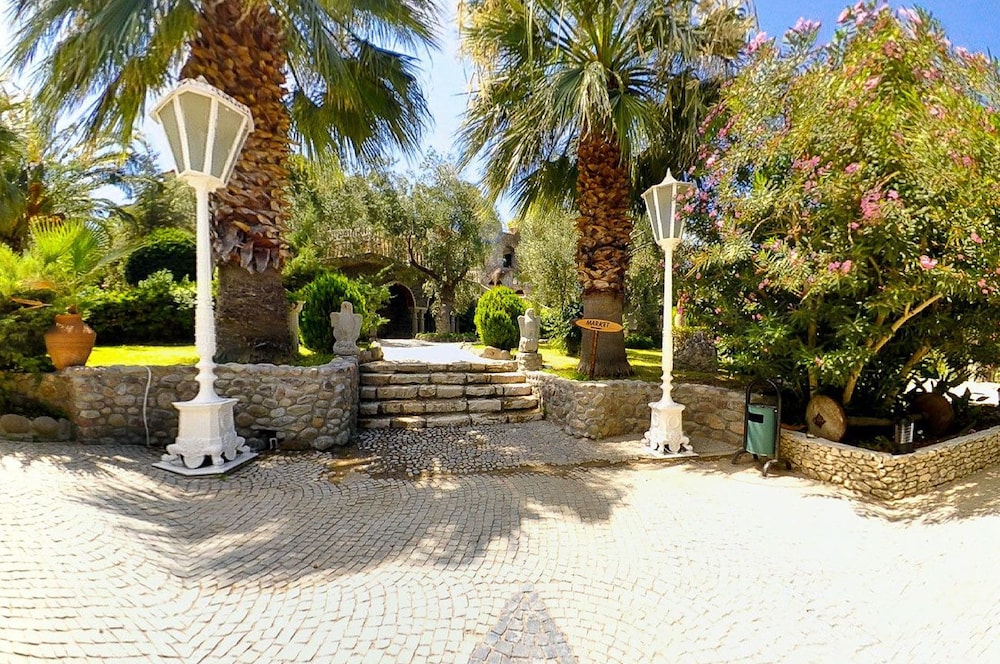 Photo 41