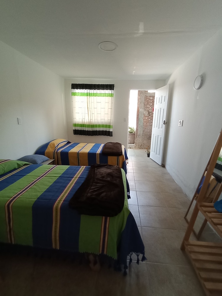 Iguana Co-living