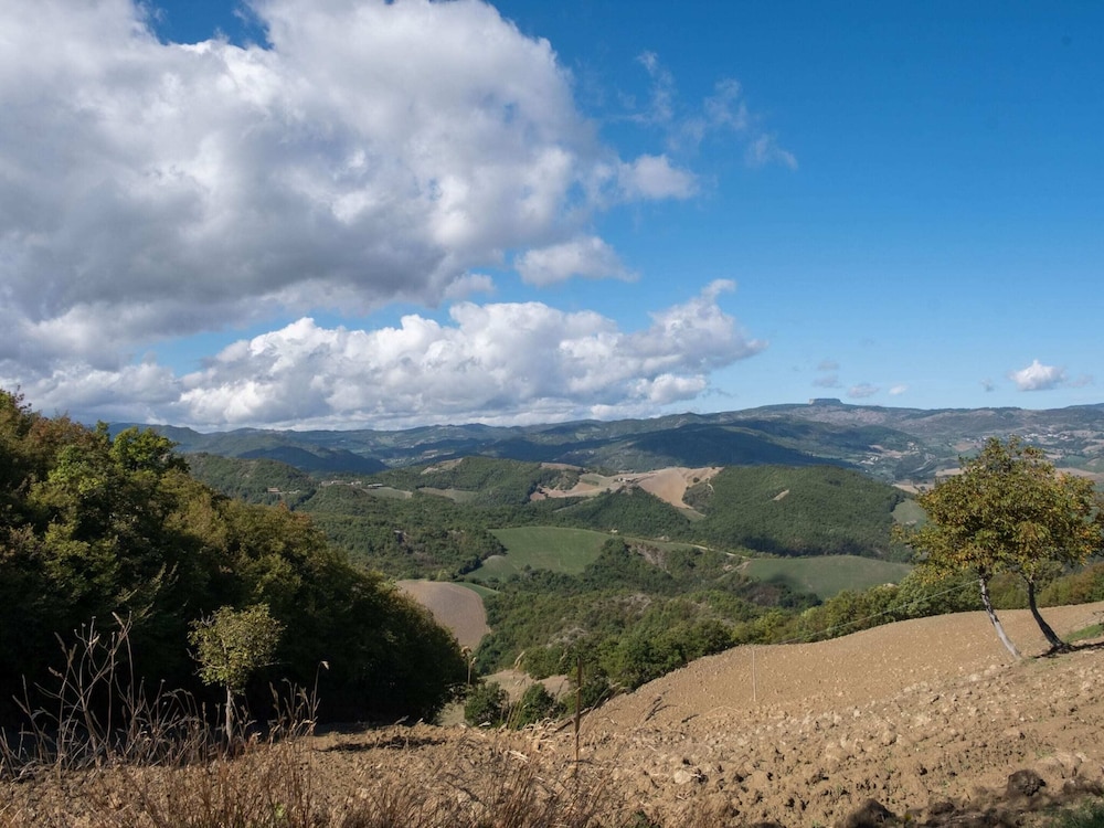 Authentic Marche Hideaway photo 5