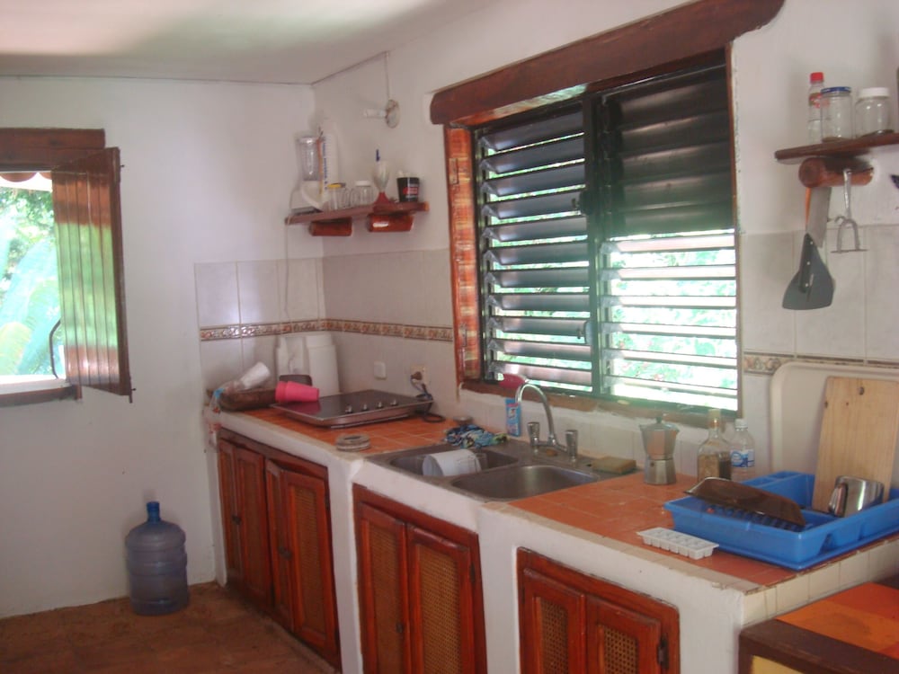 Caribbean Charm Villa In Las Galeras view 5